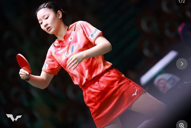 教练组或许 教练组或许