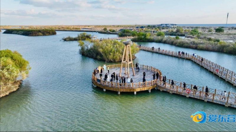 包夾庫里 包夾庫里